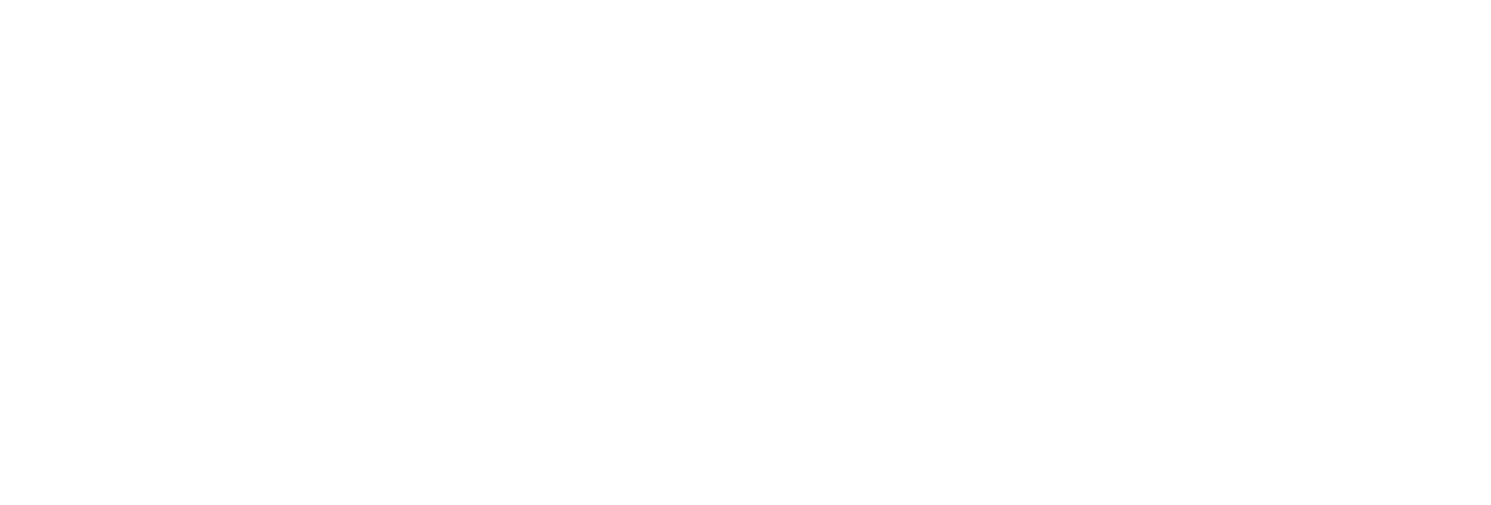 Mile High Safe